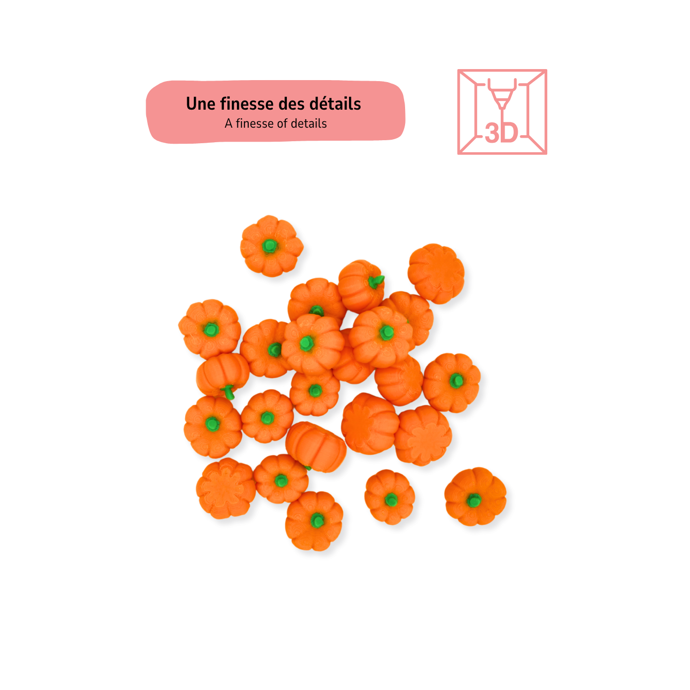 Ressources Citrouilles Premium (Pack de 12 à 36)