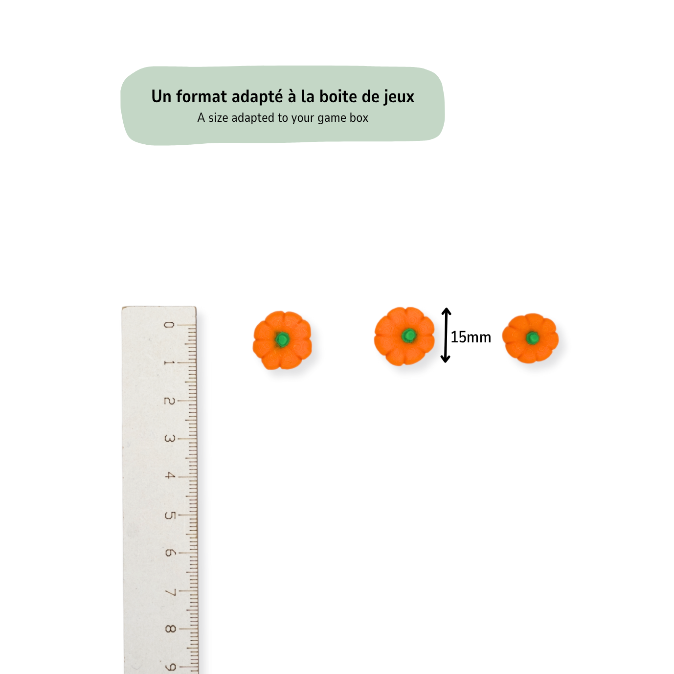 Ressources Citrouilles Premium (Pack de 12 à 36)
