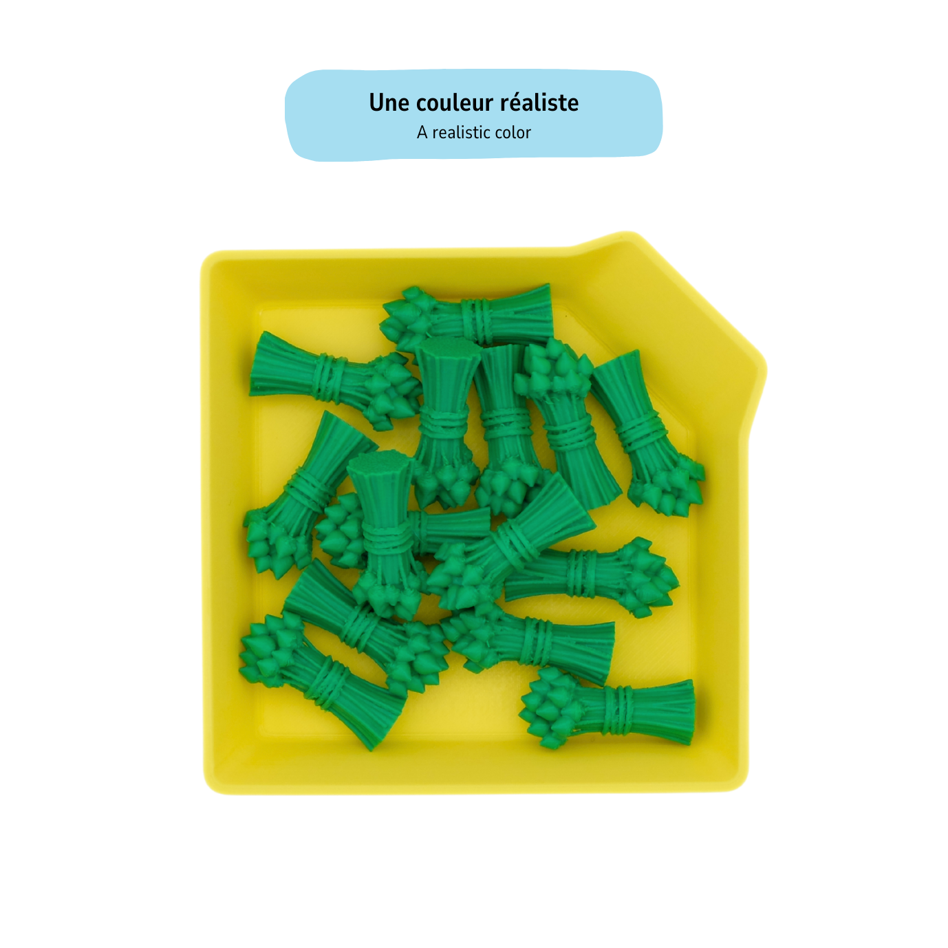 Ressources de Lin Premium (Pack de 12 à 36)